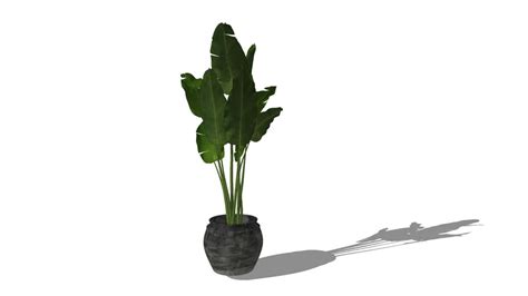 Indoor Plant 3d Warehouse