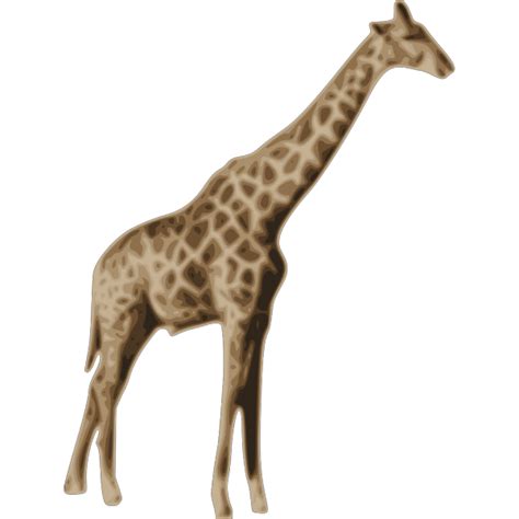 Tall Giraffe Png Svg Clip Art For Web Download Clip Art Png Icon Arts