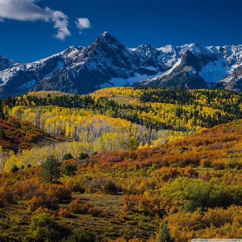 Mountain Aspen Forest Colorado Autumn Landscape Wallpapers Wallpaper Cave