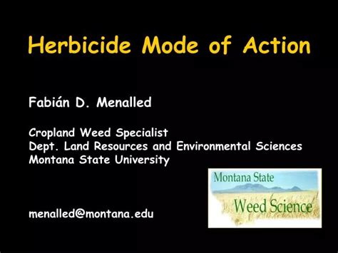 Ppt Herbicide Mode Of Action Powerpoint Presentation Free Download Id 6667540