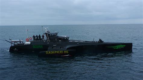 Gojira High Speed Boat Of Sea Shepherd Conservation Soci Flickr
