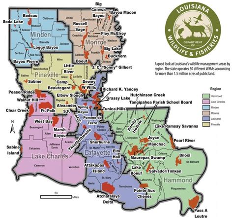 Boeuf Wildlife Management Area Map Maps For You
