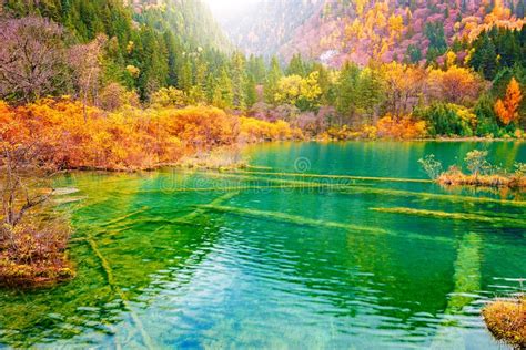 Five Flower Lake Stock Photo Image Of Forest Chinese 96699504