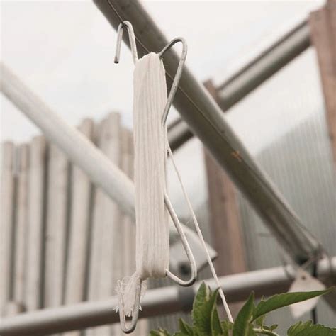 Tomato Greenhouse Accessory Hook 4 Inch At Rs 12piece In Ludhiana