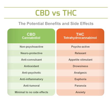 the 6 minute rule for what s the difference between cbd thc cannabis