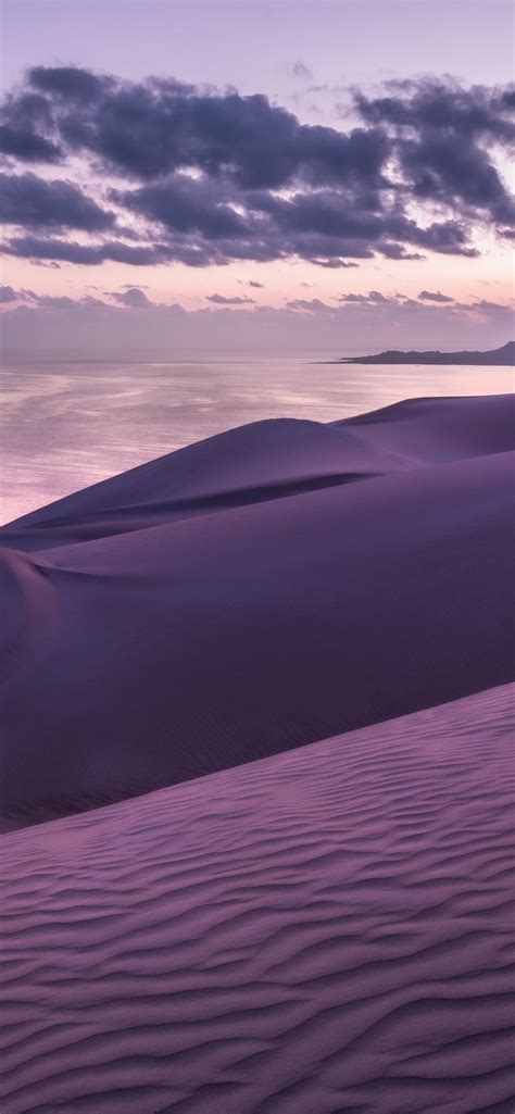 Beach Dunes 8k Iphone Wallpapers Free Download