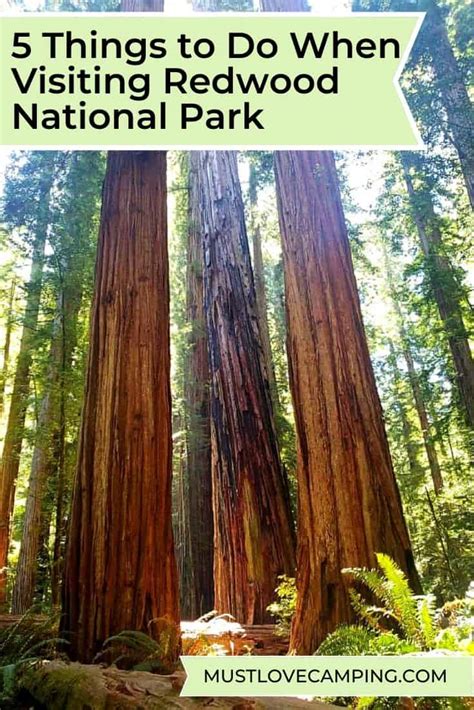 5 Things To Do When Visiting Redwood National Park Must Love Camping