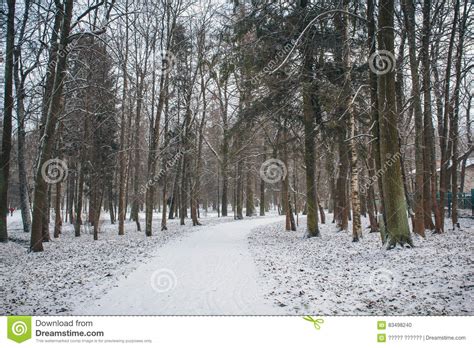 Winter Park Stock Photo Image Of Road Christmas Blue 83498240