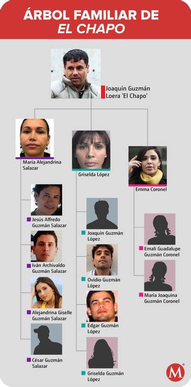 ¿quiénes Son Los Chapitos Hijos Del Chapo Guzmán Y Cómo Operan