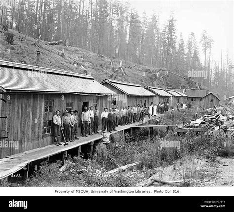 English Loggers And Mess Hall Crew At Logging Camp Wynooche Timber