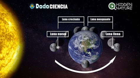 ¿qué Es Un Eclipse Lunar ¿y Un Eclipse Solar Los Movimientos De La