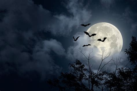 Spooky Halloween Sky Stock Photo Download Image Now Halloween