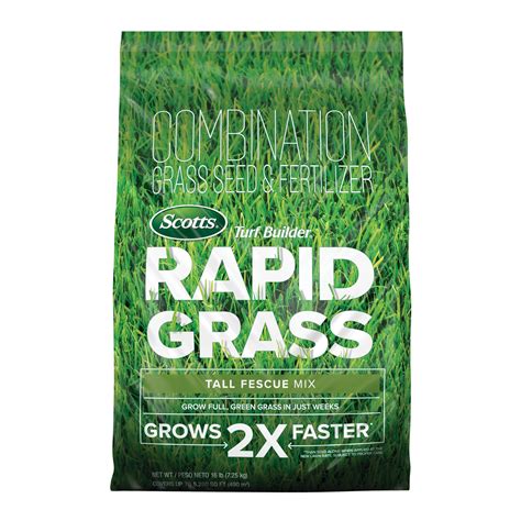 Tall Fescue Grass And Grass Seed At