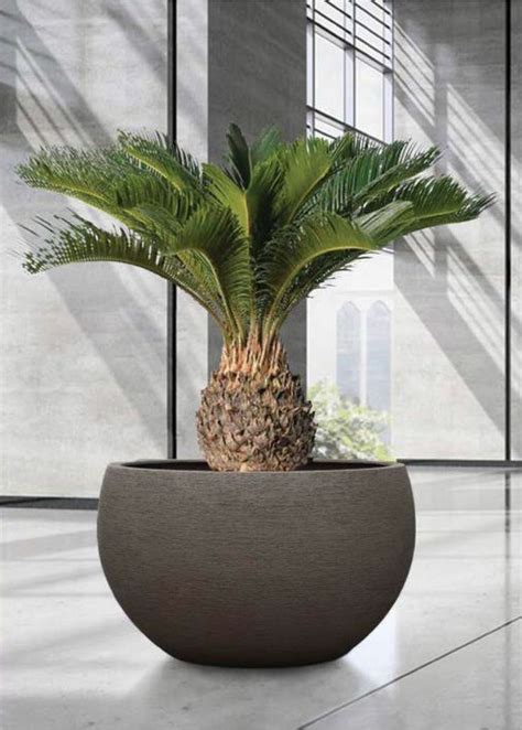 Tips and inspiration to get growing. Savanne Grand Bolla Extra Large Wide Planter suitable for ...