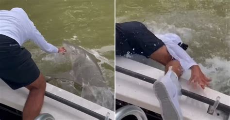 Florida Moment Shark Bites Fishermans Hand And Drags Him Overboard In