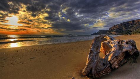 Gorgeous Driftwood On A Beach At Sunset R Driftwood Beach R Sunset