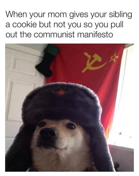 When Your Mom Gives Your Sibling A Cookie So You Pull Out The Communist