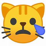 Crying Cat Emoji Face Icon Google Icons