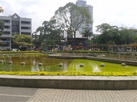 Parque El Lago Pereira 2021 Qué Saber Antes De Ir Lo Más