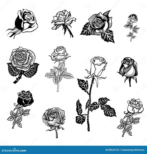Roses Design Elements Stock Vector Illustration Of Border 89634722