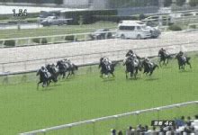Seinfeld seinfeld gif kramer betting horses. Horse Racing GIFs | Tenor