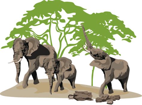 Wonderful clip art of animals that live in a zoo.: Elephants | Zoo animals, Animal pictures, Animals
