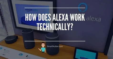 How Does Alexa Work Technically Smartnutter