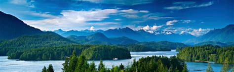 Panoramic View Of Tofino Vancouver Island Canada Stock Photo Download