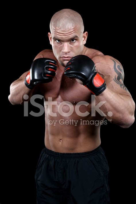 Powerful Fighter Portrait Stock Photo Royalty Free Freeimages