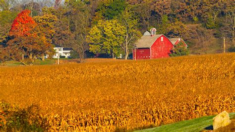 Country Morning In The Fall Photograph By Lindley Johnson