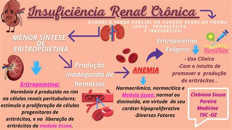 insuficiência renal crônica 1 fisiologia humana e fisiopatologia