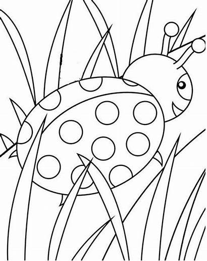 Ladybug Collage Colorear Pintar Coloriage Coloring Gommettes