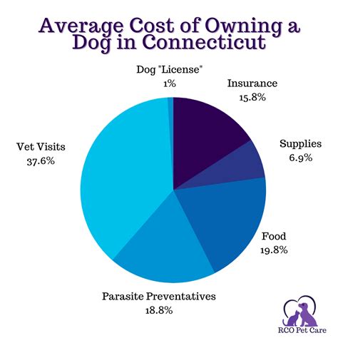 The Average Annual Cost Of Owning A Dog In Connecticut Rco Pet Care