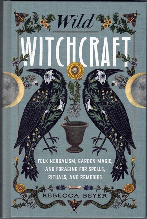 Wild Witchcraft Rebecca Beyer First Edition