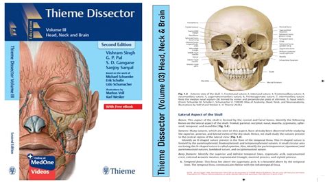 Thieme Dissector Volume 03 Head Neck And Brain Mbbs Book Ms Book