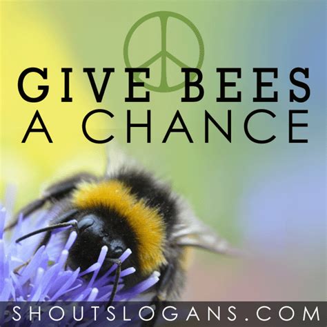 Save Bees Slogans Shout Slogans