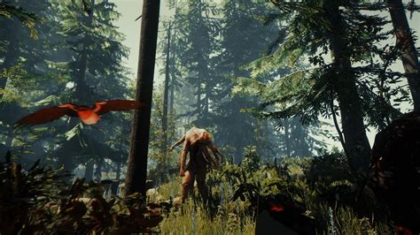 The Forest 2018 Ps4 Game Push Square