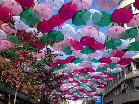 Toulouse: Une pluie de parapluies pour le tout nouveau ...