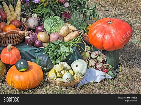 Vegetable Harvest Sold Image And Photo Free Trial Bigstock