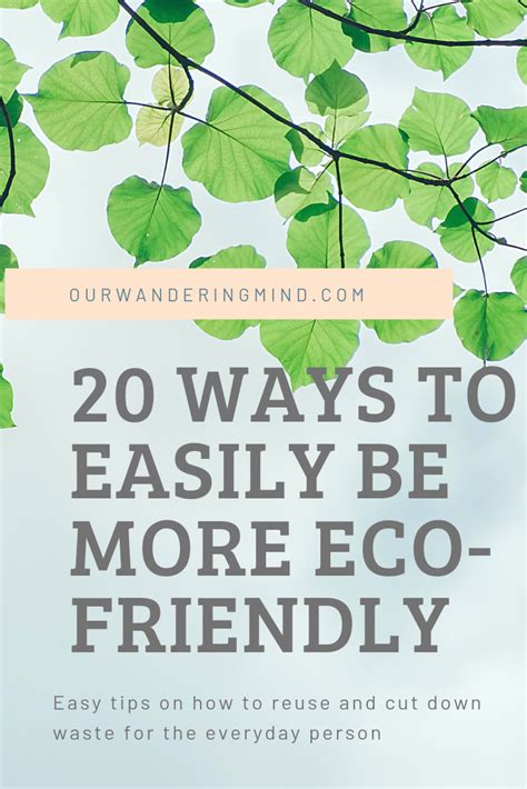 20 Easy Ways You Can Become More Eco Friendly Eco Friendly Friendly Eco