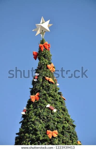 Large Outdoor Christmas Tree Against Bright Stock Photo Edit Now