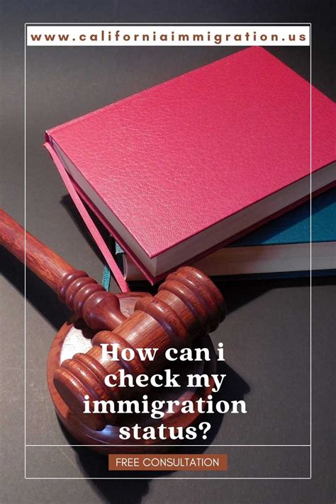 Immigration Court Pins Discussed By Brian D Lerner