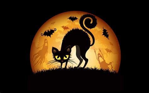 Black Cat Halloween Wallpaper 51 Images