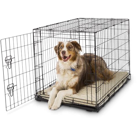 Guide On Crate Training Your Puppy In 2019 Inscmagazine