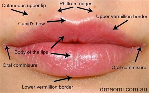 How To Create Beautiful Lips With Dermal Filler Best Clinic Sydney