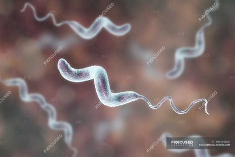 Campylobacter Jejuni Bacteria With Flagella Digital Artwork — Food