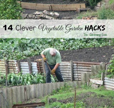 gardening hacks ideas 35 creative garden hacks and tips that every gardener should know