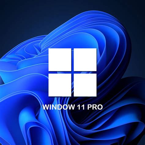 Windows 11 Professional Oem