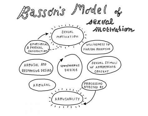 What Bassons Sexual Response Cycle Teaches Us About Sexuality