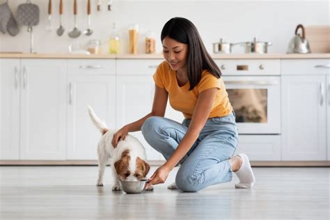 When To Start Weaning Puppies And What To Feed Them